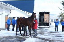 種牡馬入りには(株)ノースヒルズのスタッフも駆けつけた