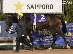 2歳馬ながら520kgの雄大な馬体の持ち主