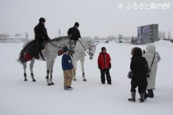 馬そりの先導をしてくれた馬達と記念撮影
