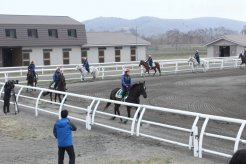 研修の成果を披露した実技査閲