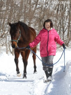 冬は地面が滑りやすく、注意深く放牧地へ