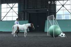 ストライカーらしくPKでゴールネットを揺らした
