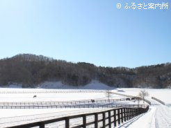 静かな場所に放牧地一帯が広がっている