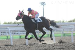 7馬身差で圧勝したエクラヴァンクール産駒のランランラン