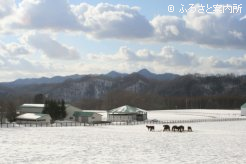 牧場風景