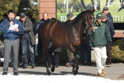 ｢ダービー馬×オークス馬｣という最高級の配合を誇るルーラーシップ