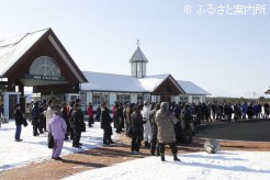 晴天のもと、開催された日本軽種馬協会静内・胆振種馬場合同種牡馬展示会