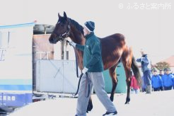 ブリーダーズ・スタリオン・ステーションにスタッドインしたアーネストリー