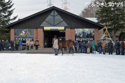 社台スタリオンステーションで行われた種牡馬展示会