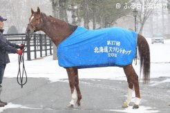北海道スプリントC(Jpn3)優勝時の馬服を着用して到着