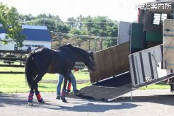 産駒の更なる活躍が期待される