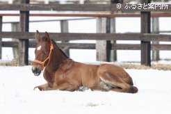 暖かい陽気に誘われ夢の中へ