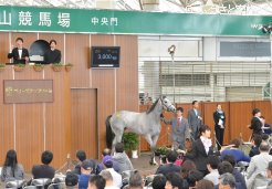 最高価格で競り落とされたマルカジュリエットの13