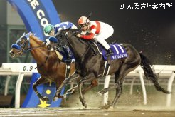 壮絶なマッチレースを制したのは外のダノンレジェンド