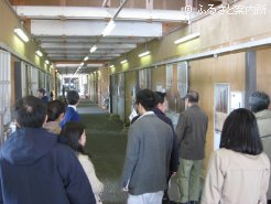 育成調教技術者養成研修の様子も見学