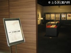 新ひだか町博物館で開催中の企画展