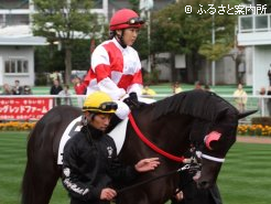アイルランド大使特別賞を受賞した増澤由貴子元騎手、女性騎手・厩務員の話題にも及んだ