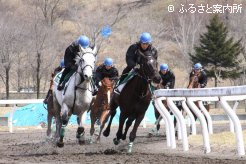 騎乗供覧では迫力ある追い比べを披露