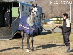 元気に北海道に到着した