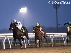 今年の2歳戦勝ち馬第1号のアイアンガール