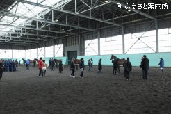 JRA日高育成牧場で開かれた平成30年度育成馬展示会