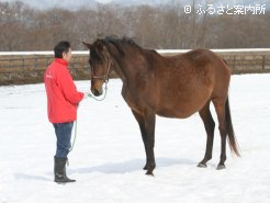 シンボリクリスエスを受胎中