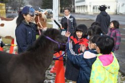 ポニーに群がる児童