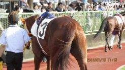多くのファンで賑わう佐賀競馬場