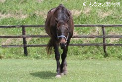 年齢ほど衰えはないという