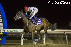人気に応え重賞初勝利を飾ったリンダリンダ