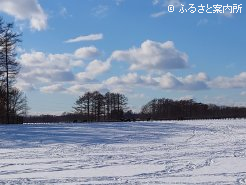大雪の後、抜けるような青空が広かった