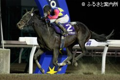 重賞2勝目を飾ったグランプリブラッド