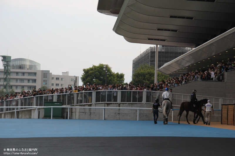 函館競馬場でゴールドシップの公開調教が行われる | 馬産地ニュース | 競走馬のふるさと案内所