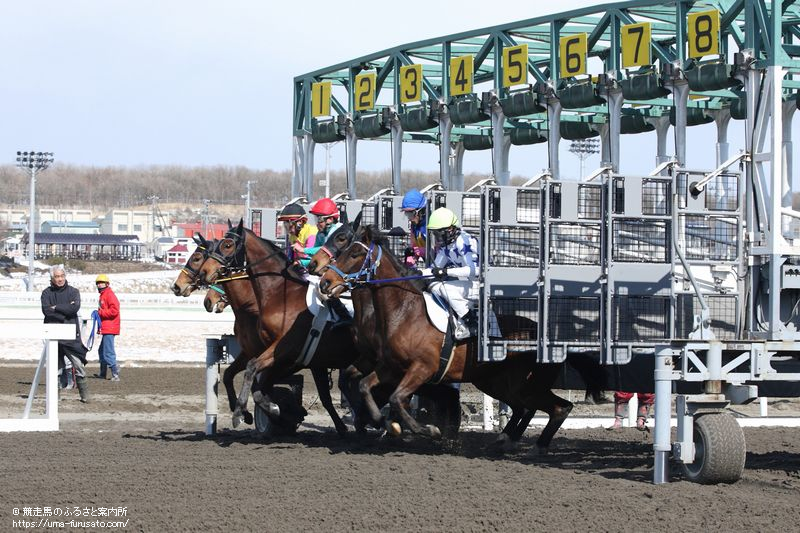 ホッカイドウ競馬で競走能力 発走調教検査が行われる 馬産地ニュース 競走馬のふるさと案内所