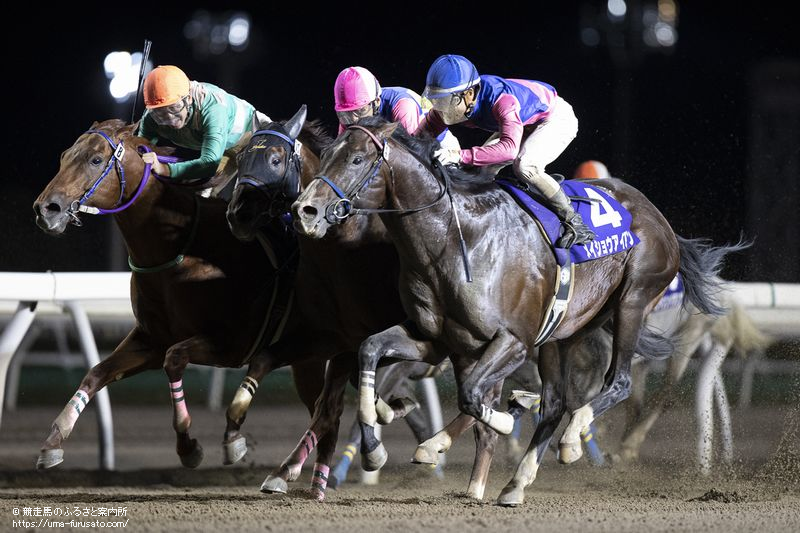 ウポポイオータムスプリントは10歳馬メイショウアイアンが重賞4勝目 馬産地ニュース 競走馬のふるさと案内所