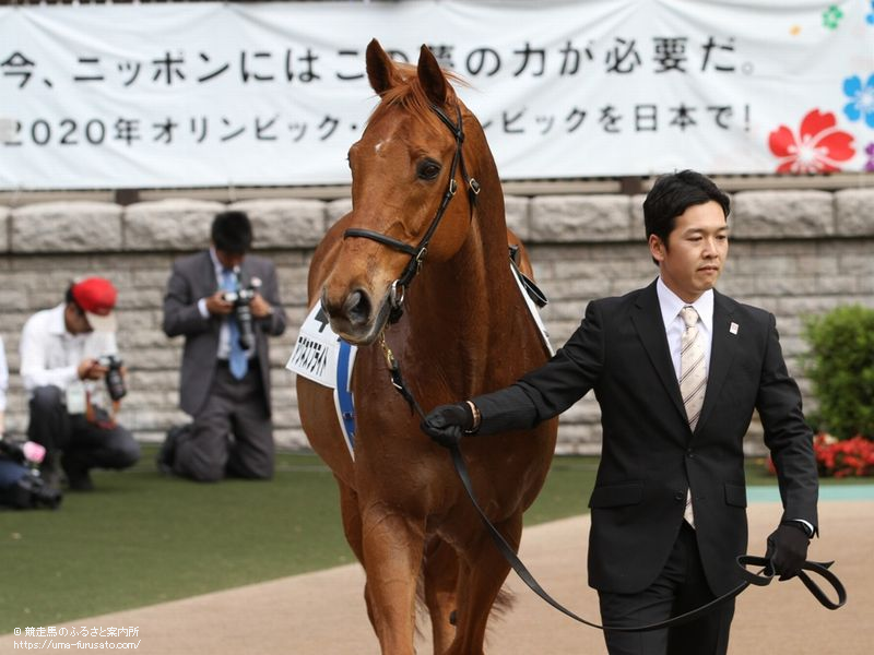 往年のダービー馬2頭が東京競馬場に登場 | 馬産地ニュース | 競走馬のふるさと案内所