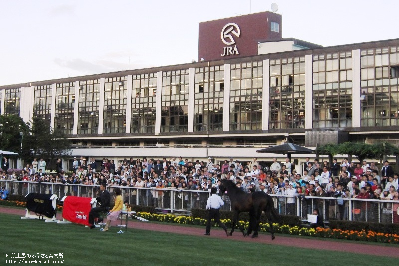 札幌競馬場でコスモバルクのお披露目が行われる | 馬産地ニュース