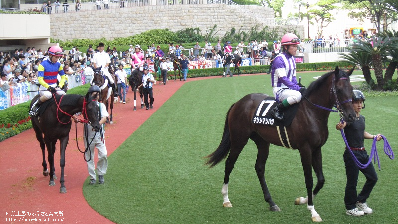 九州産馬の暑い 熱い 夏が終わりました 南九州連絡センター 馬産地ニュース 競走馬のふるさと案内所