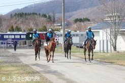 検査を受けにきた北海道トレーニングセール上場馬