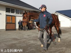 厩舎ではタイキシャトルの隣りの馬房に入った