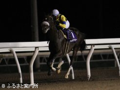 2連覇を飾ったシビルウォー
