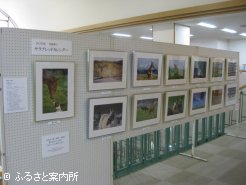 心癒される作品が多数展示されている