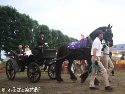 あちらこちらから祝福の声が上がった馬上結婚式