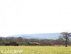 牧場は三石の富沢地区にある