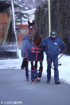 白い息を吐きながら社台スタリオンステーションに到着した