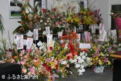 事務所にはたくさんのお祝いの花で覆われていた