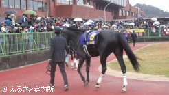 佐賀記念(Jpn3)のパドックは、悪天候のなか大勢の競馬ファンが観戦