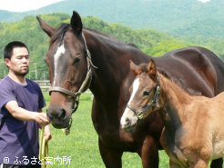 「良い仔が産まれました」とスタッフの中島さんは期待している