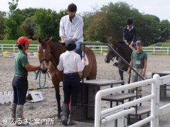 乗馬体験～ライディングヒルズ静内