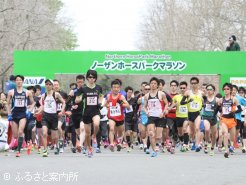 約2,000人のランナーが参加した